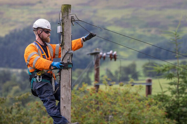 Telephone wires connection